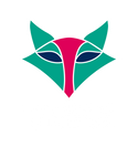 Melbourne Vixens